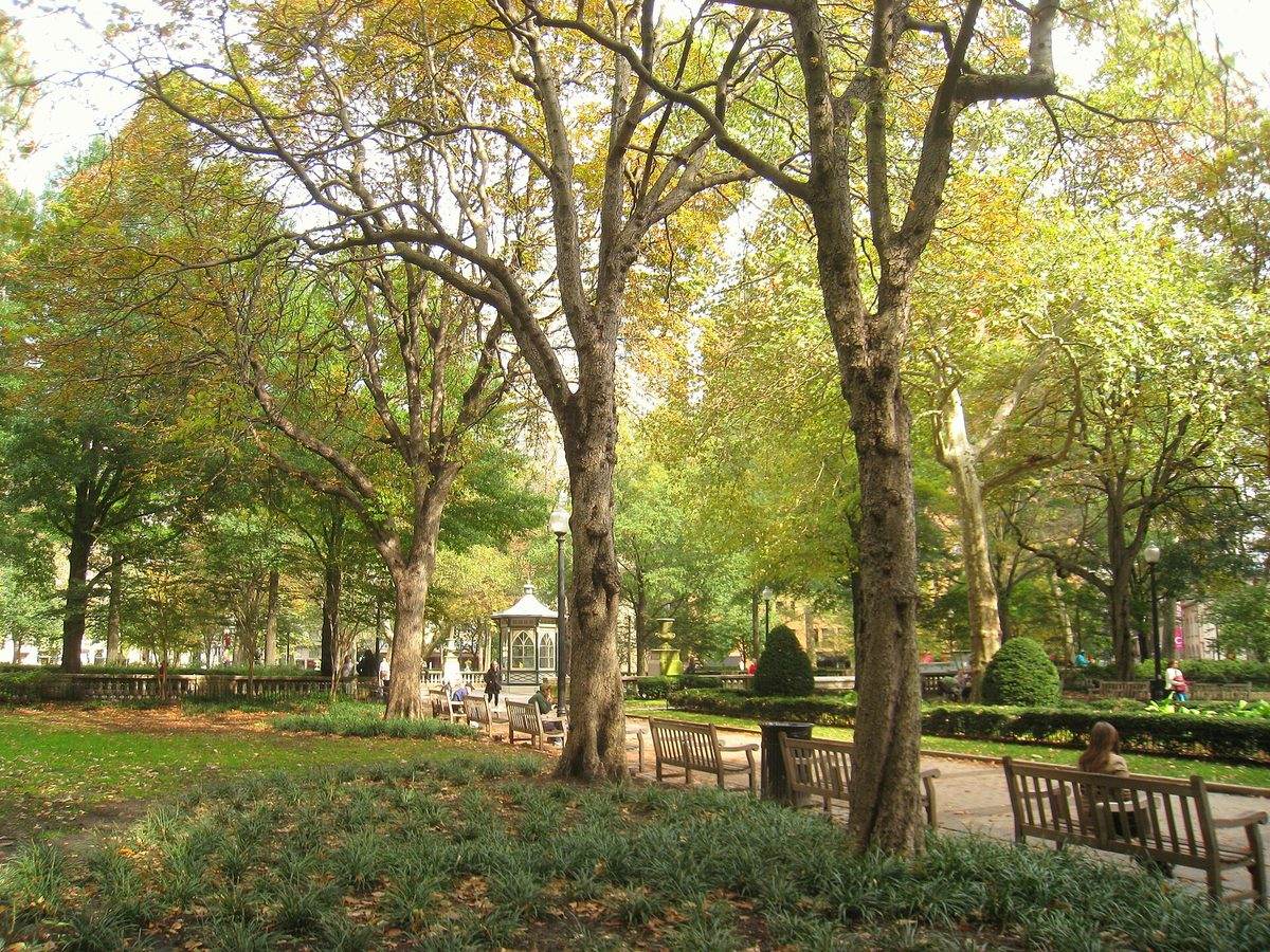 Rittenhouse Square on an autumn afternoon.